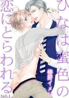 Hina wa Mitsuiro no Koi ni Torawareru by Tsubakino Imeri – Vol. 1-2 [Eng]