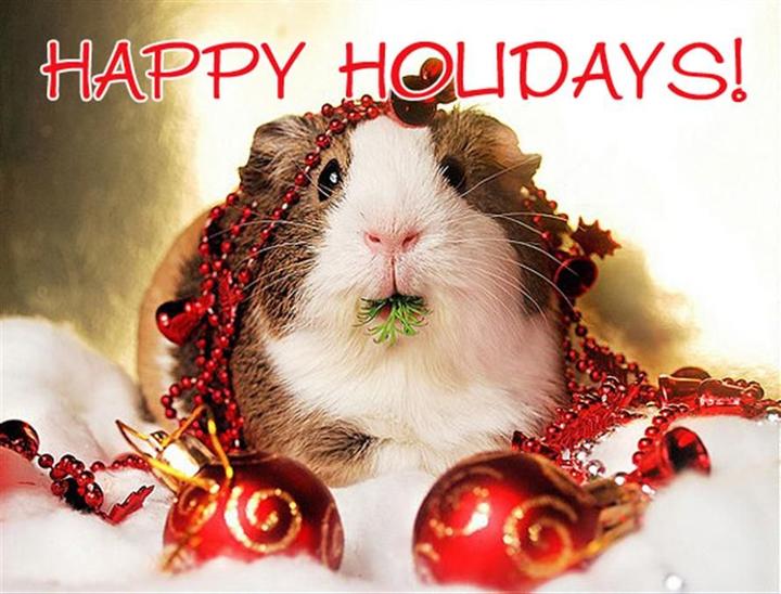 Ookami no Ketsuzoku by INOUE Satou [Eng] page 50