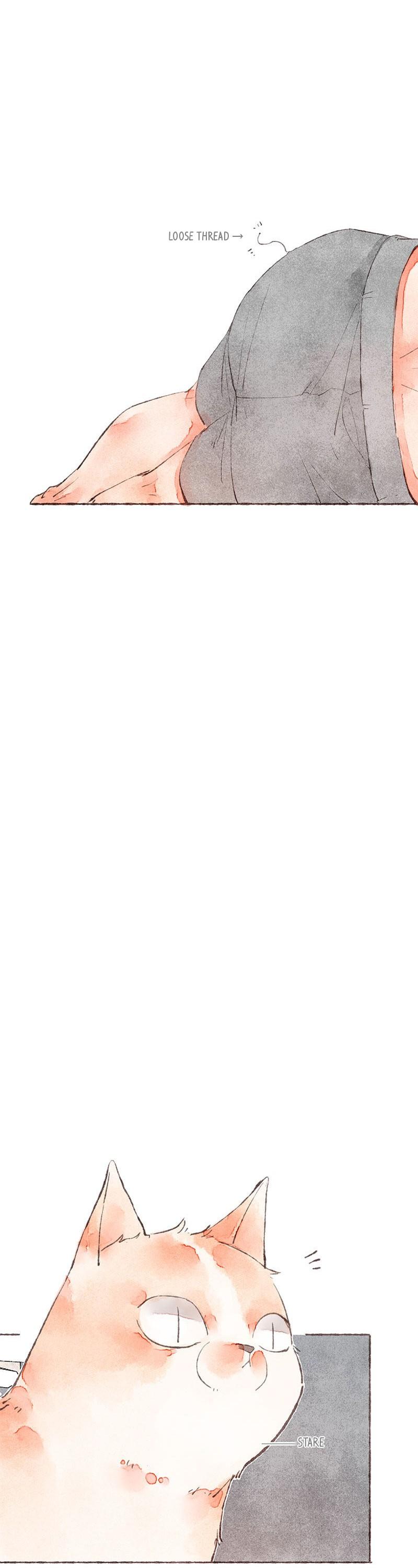 Starting With a Lie by Liang Azha [Eng] page 8