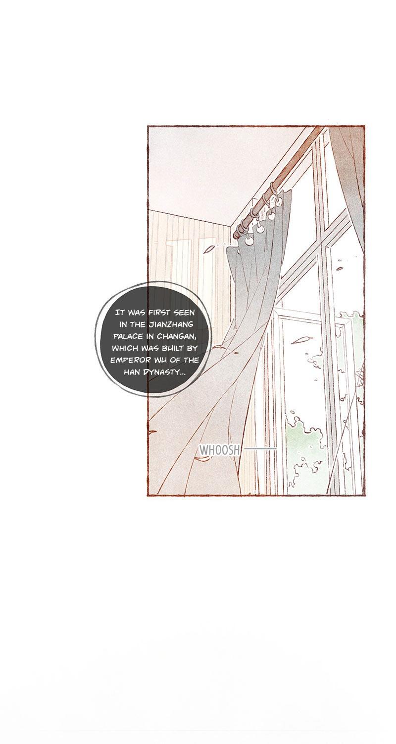 Starting With a Lie by Liang Azha [Eng] page 18