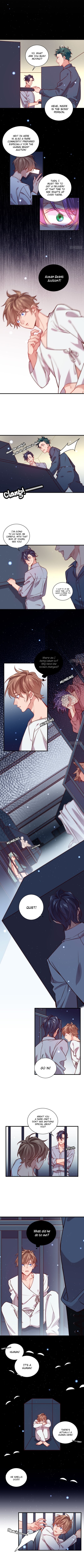 Love, Which Makes Us One by Zhiyin man ke, Taipa – Part 2 – Ch. 77 [Eng] page 2