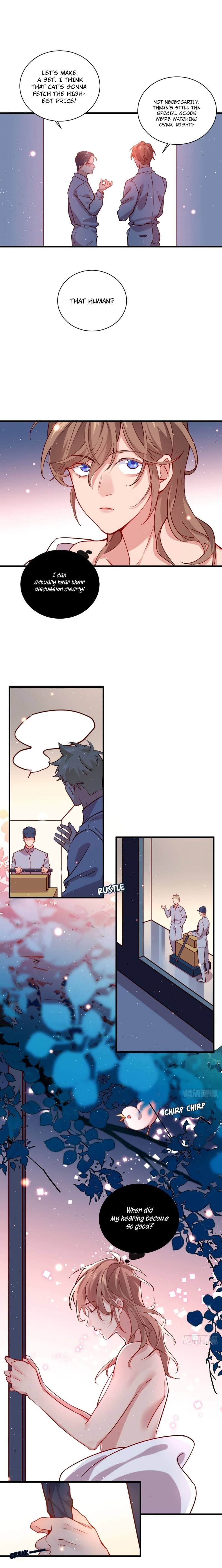 Love, Which Makes Us One by Zhiyin man ke, Taipa – Part 2 – Ch. 77 [Eng] page 3