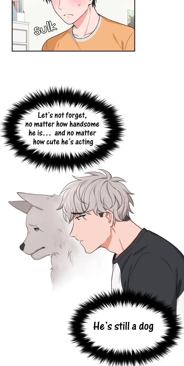 Sit, Wait, Kiss Me by Goto [Eng] page 18