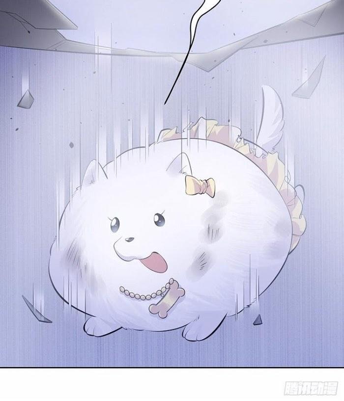 My Father-in-Law is My Wife by Plumage – Ch. 167 [Eng] page 35