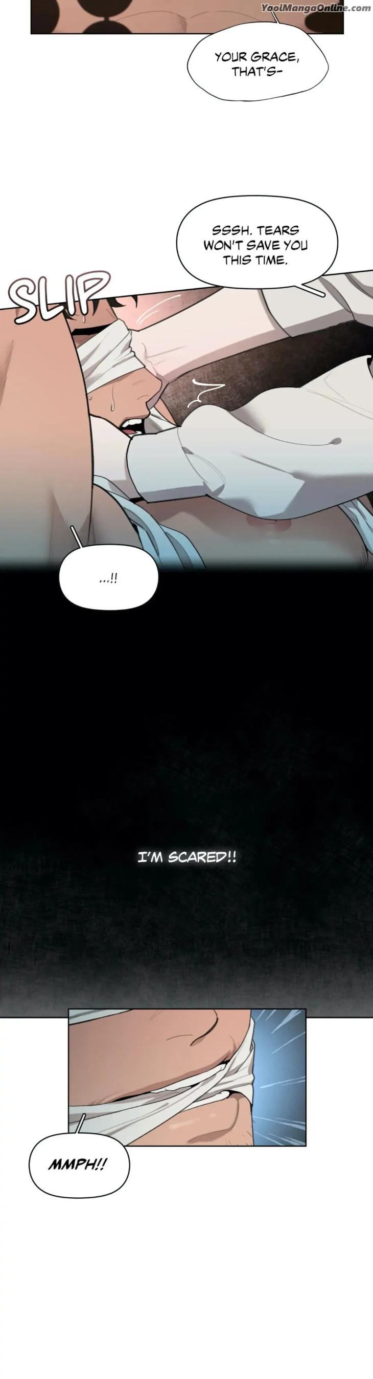 Plaything: The Grand Duke’s Boytoy by TR [Eng] page 40