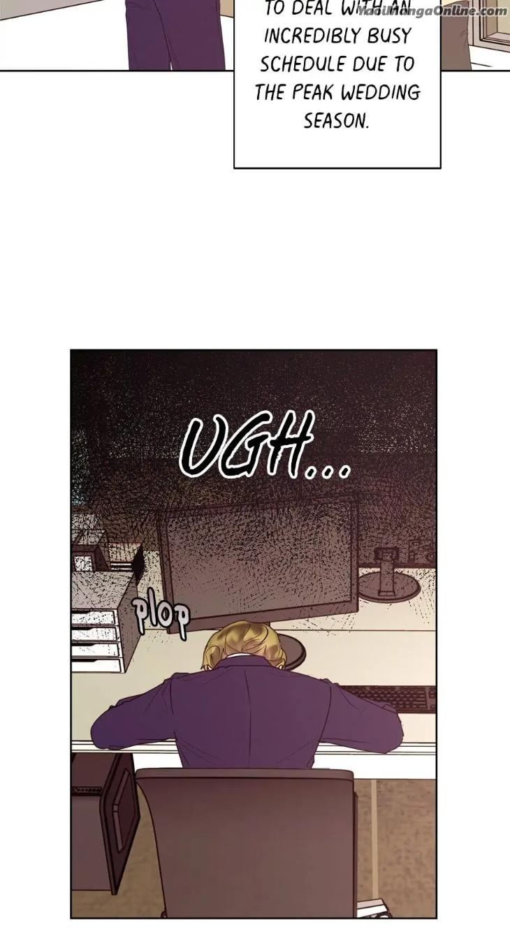 Wedding Plans for Mr. & Mr. by Rotten GreenT [Eng] page 14