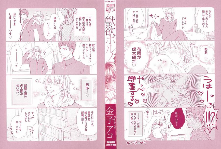 Juuyoku Porno by KANEKO Ako [JP] page 3