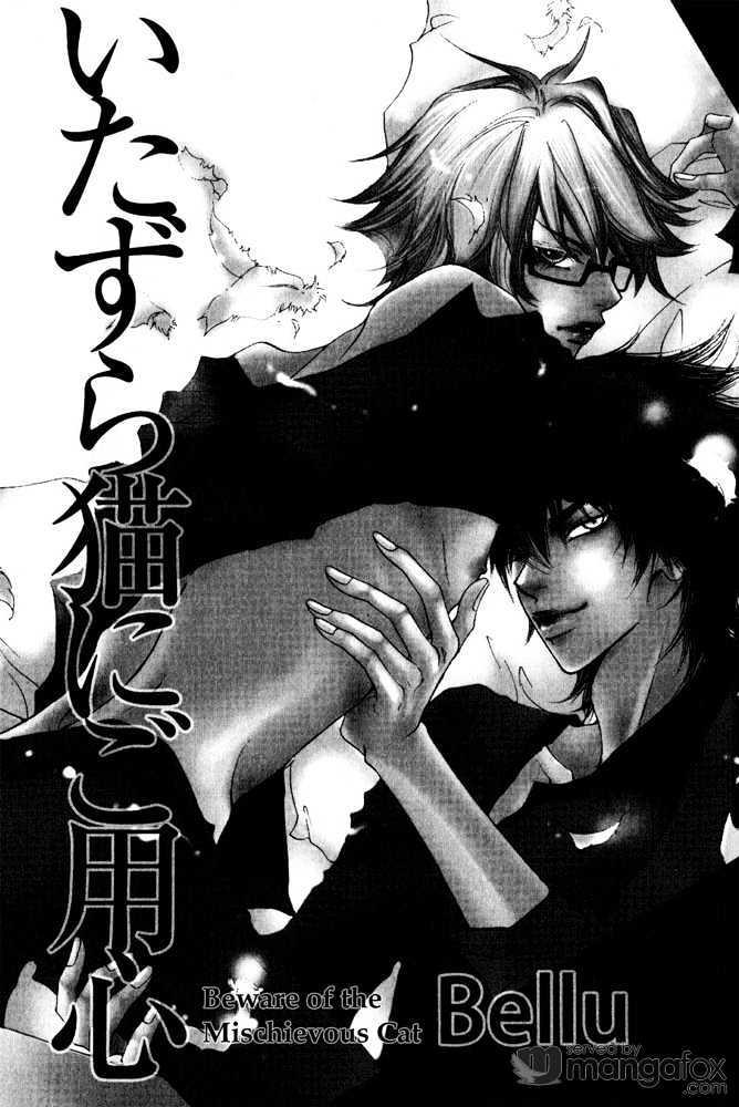 Itazura Neko ni Goyoujin by Bellu [Eng] page 4