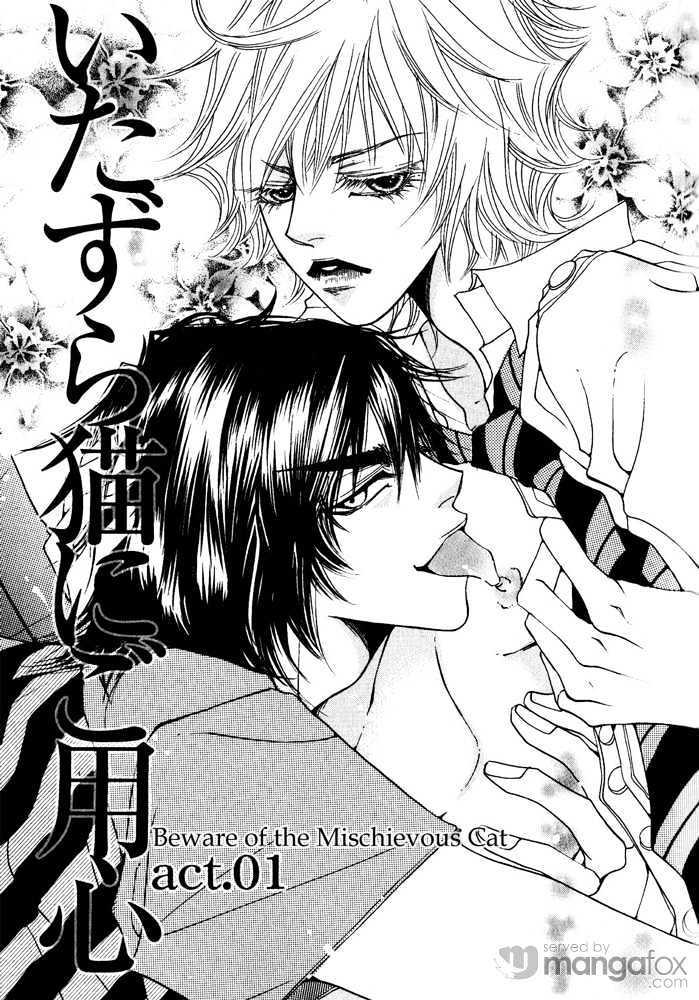 Itazura Neko ni Goyoujin by Bellu [Eng] page 6