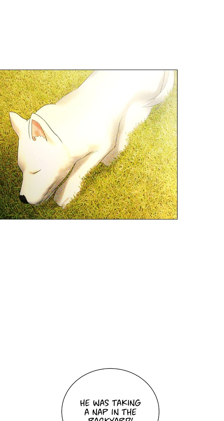 The Melancholic Conman by Nanna – Ch. 56 [Eng] page 7