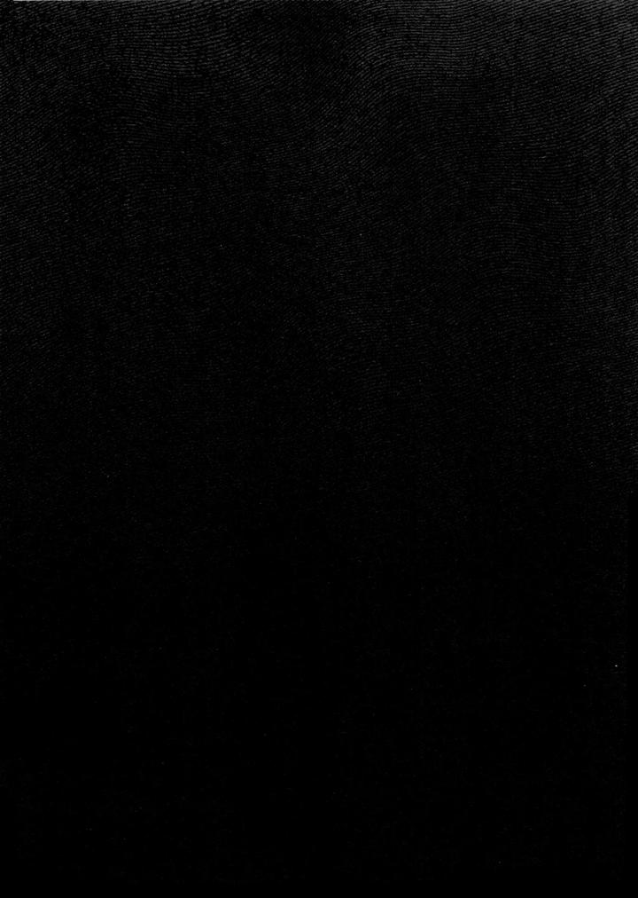 Tokyo Revengers Dj – Re-recorded Collection GOAT by 13-BANCHI (Shi) [JP] page 8