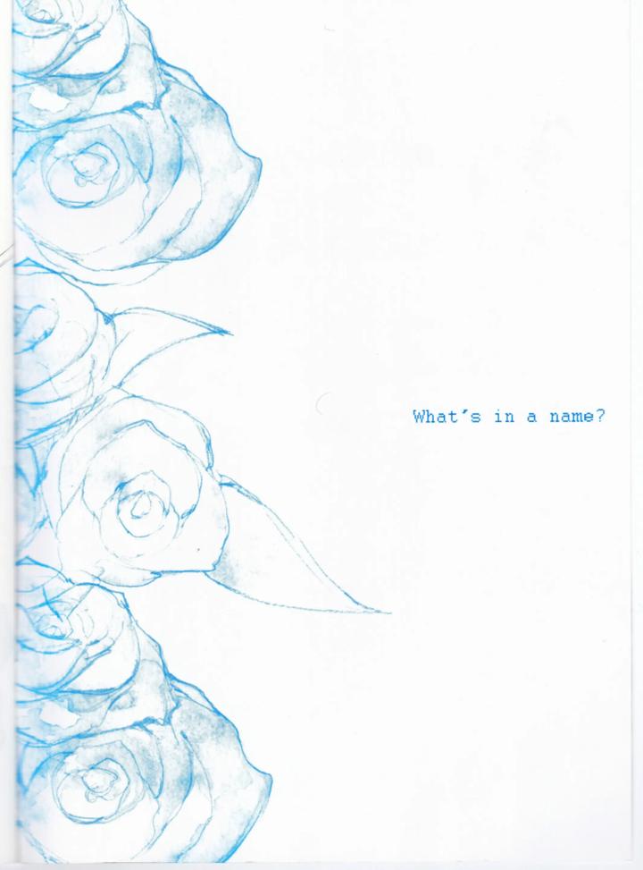 Devil May Cry Dj – ANOTHER ROSE by Sera(anna) [Chn] page 2