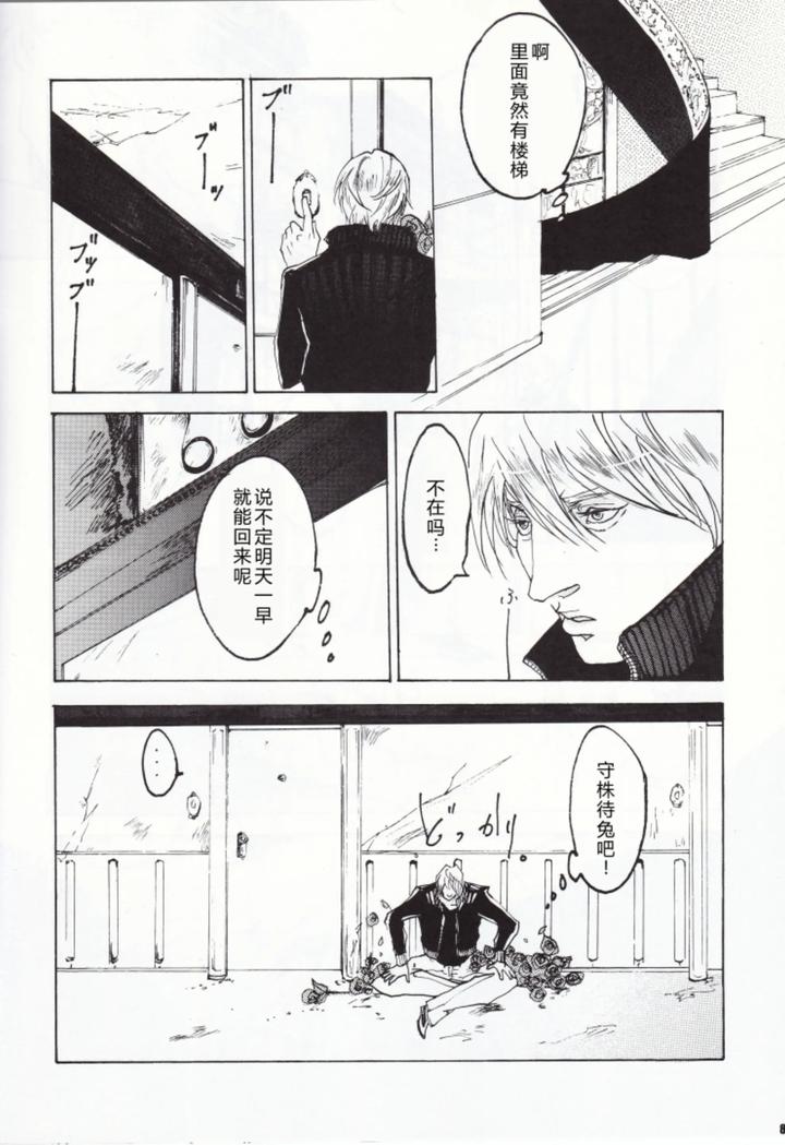 Devil May Cry Dj – ANOTHER ROSE by Sera(anna) [Chn] page 9