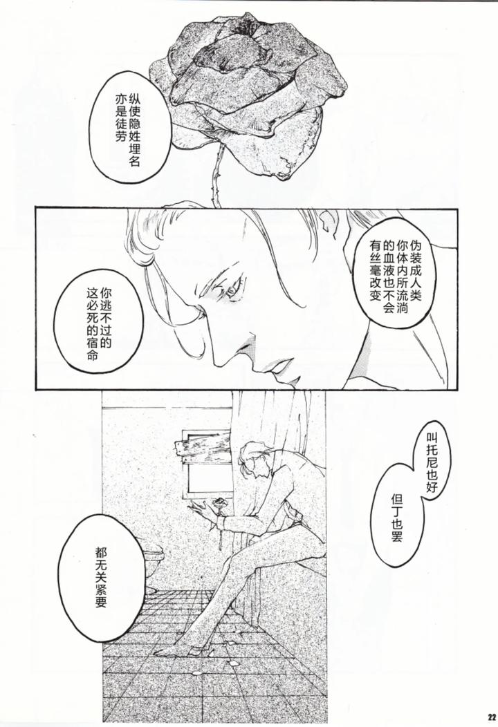 Devil May Cry Dj – ANOTHER ROSE by Sera(anna) [Chn] page 23