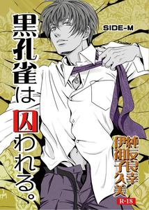 The Black Peacock is Imprisoned. SIDE-M by a bullet. [JP]