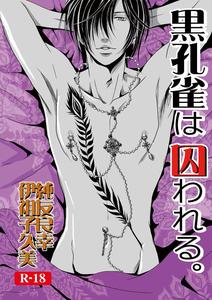 The Black Peacock is Imprisoned. SIDE-S by a bullet. [JP]