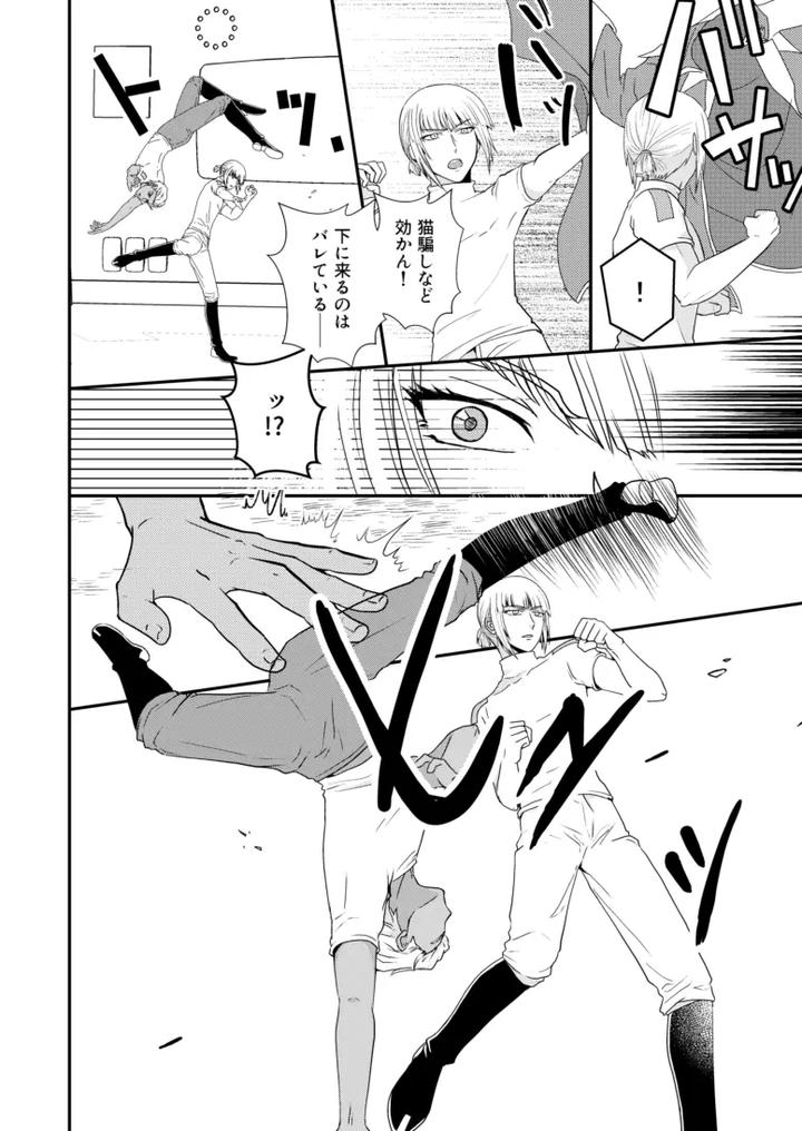 Gundam Seed Destiny Dj – Hiyoku no tori, renri no kizuna by Hikuhikkurabu (hikuhikku) [JP] page 15