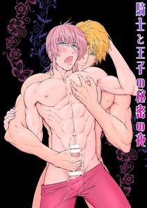 The Knight and the Prince’s Secret Night by Pink Shark [JP]