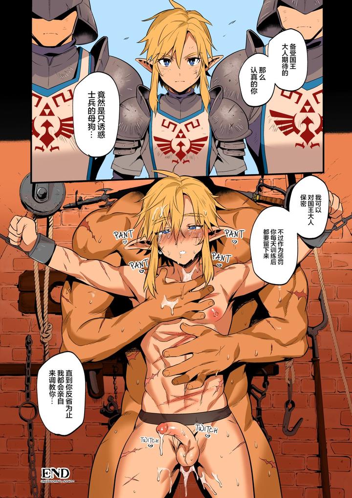 The Legend Of Zelda Dj – The Suffering of a Trainee by Morittokoke (Morikoke) [Chn] page 24