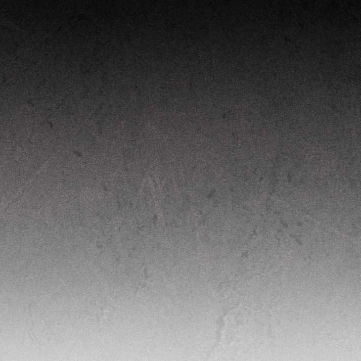 The Evolution of Species by AshK – Ch. 31 [Kor] page 15