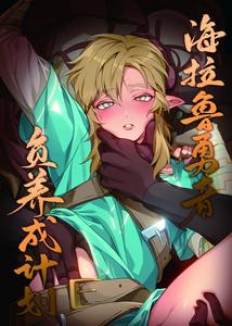 The Legend Of Zelda Dj – Hyrule Hero Development Plan “Jou” by Haidan [Chn]