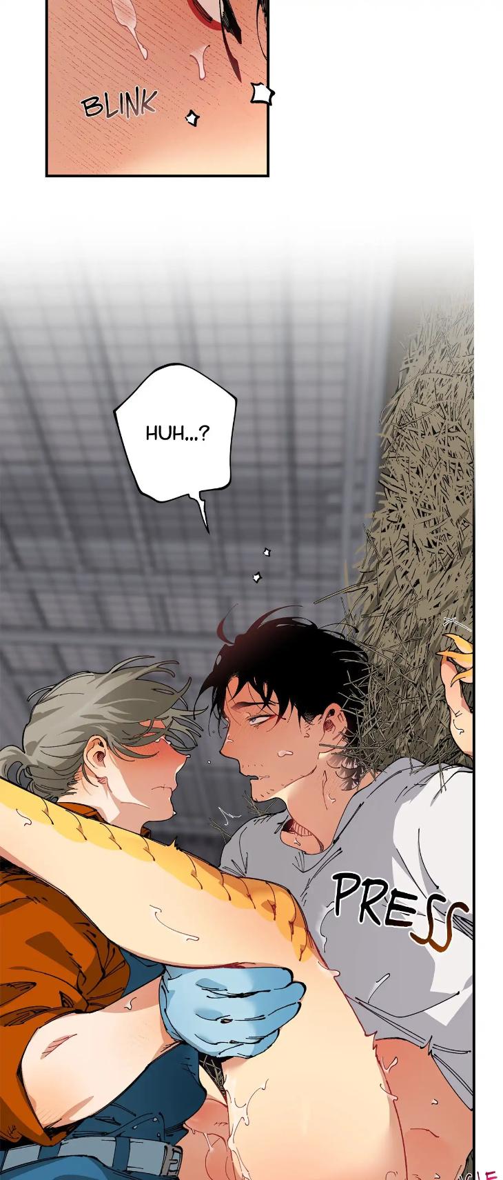 Mr.A’s Farm by NACHIOBOY – Uncensored – Special 1 [Eng] page 14