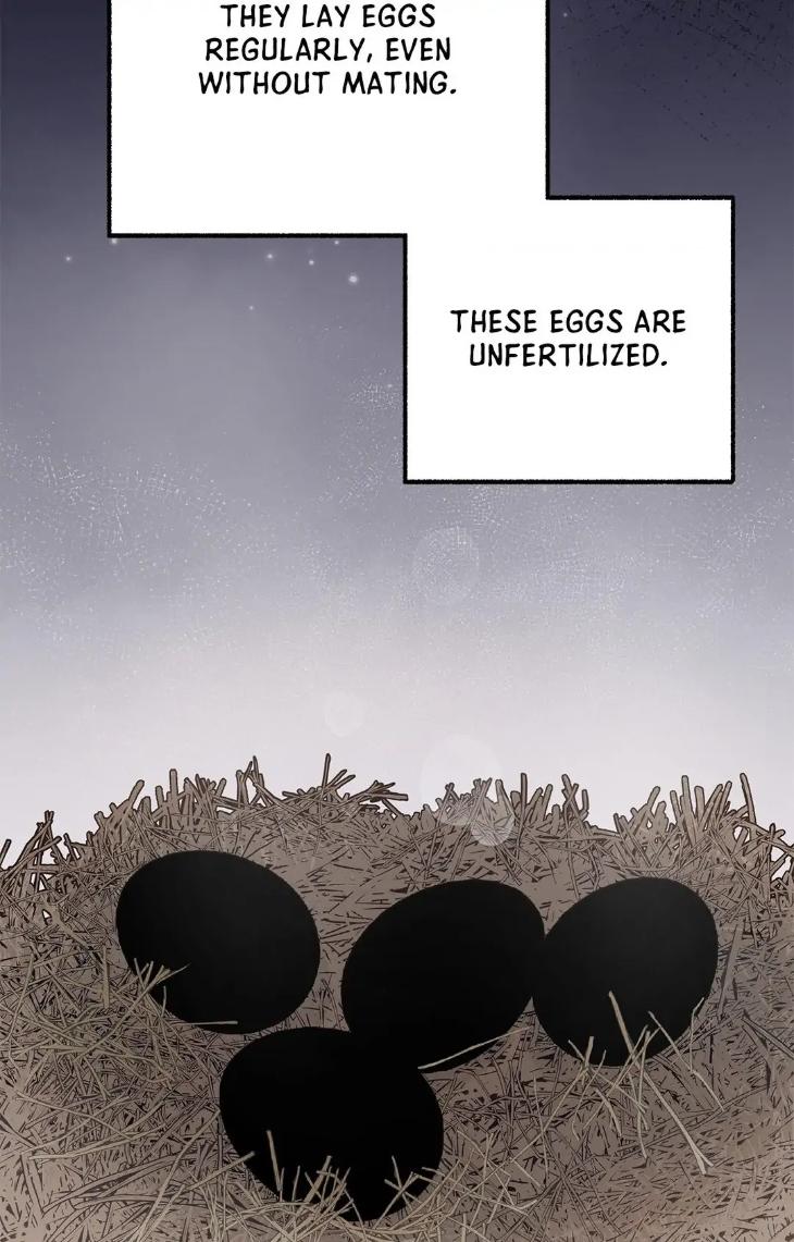 Mr.A’s Farm by NACHIOBOY – Uncensored – Special 1 [Eng] page 24