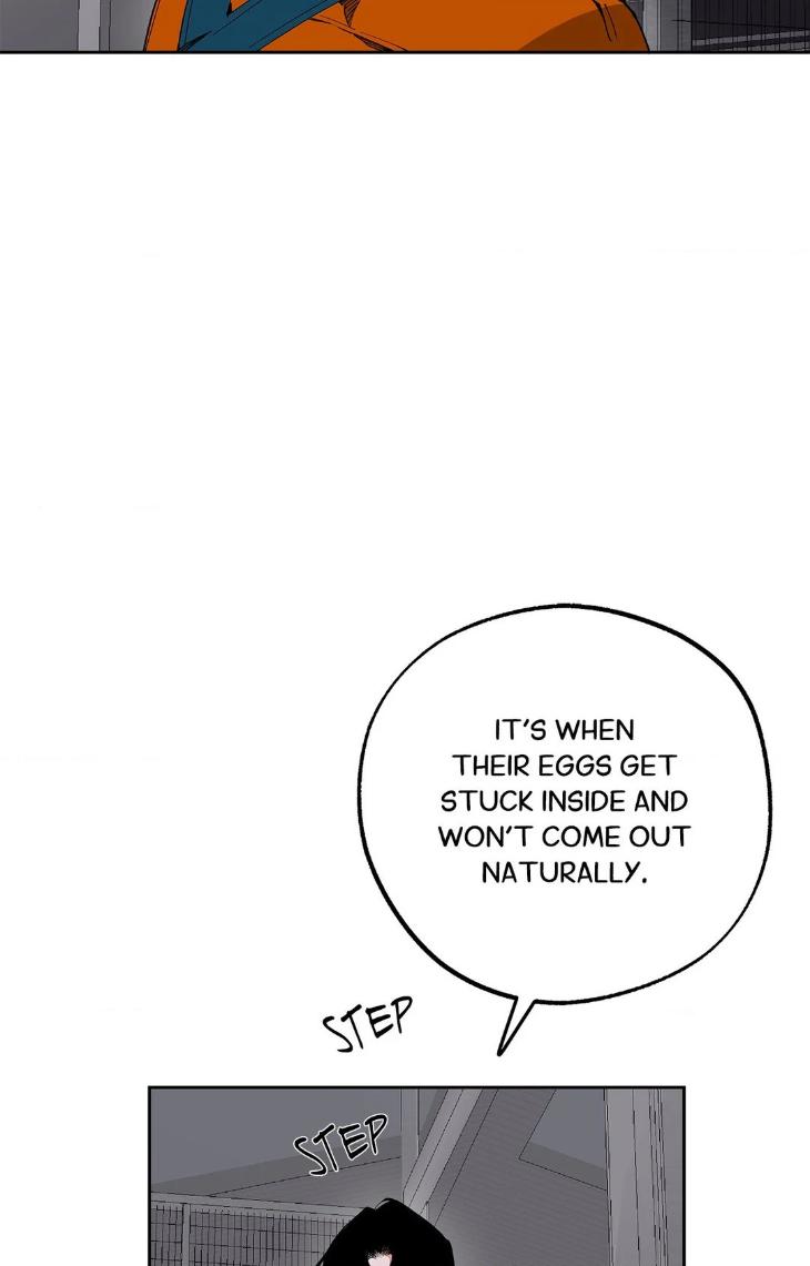 Mr.A’s Farm by NACHIOBOY – Uncensored – Special 1 [Eng] page 28