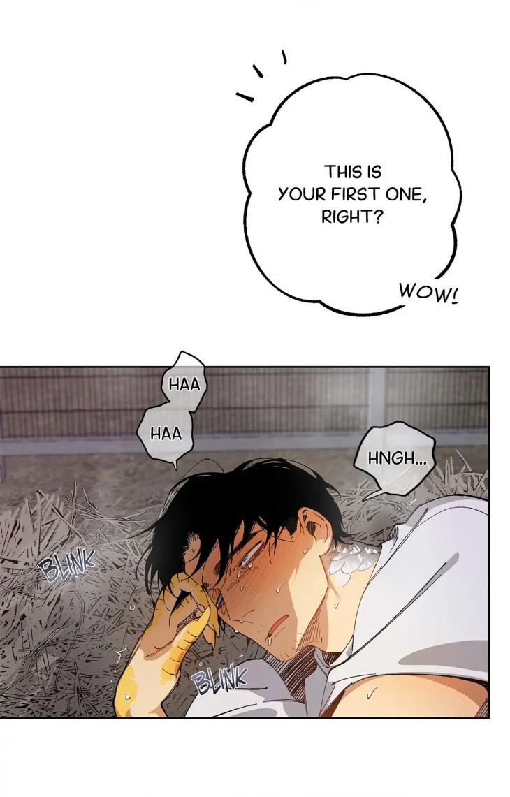 Mr.A’s Farm by NACHIOBOY – Uncensored – Special 1 [Eng] page 74