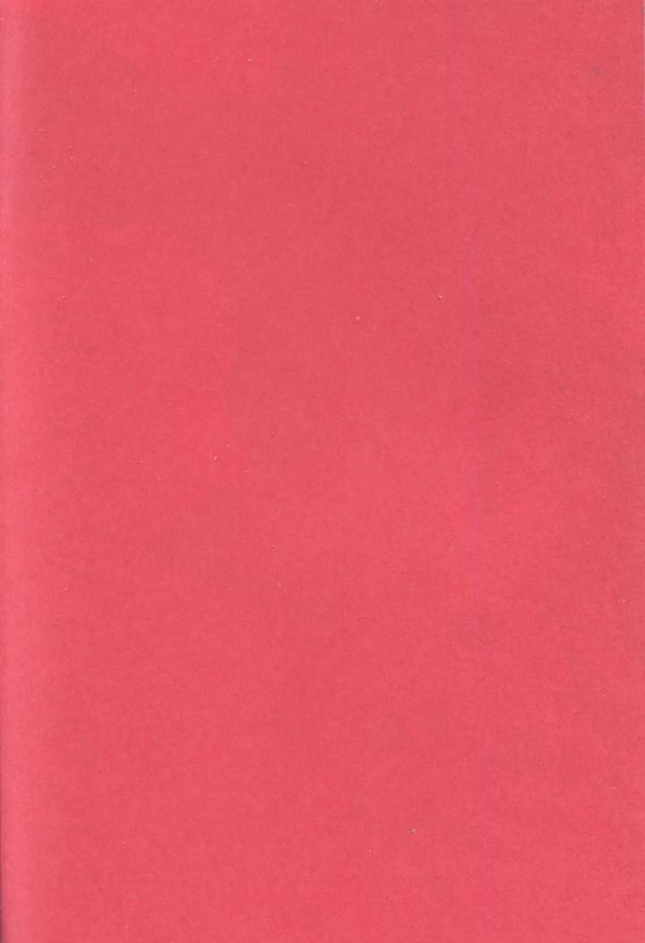 GAME BOOK by A bazure kōjō (motika) [Chn] page 4