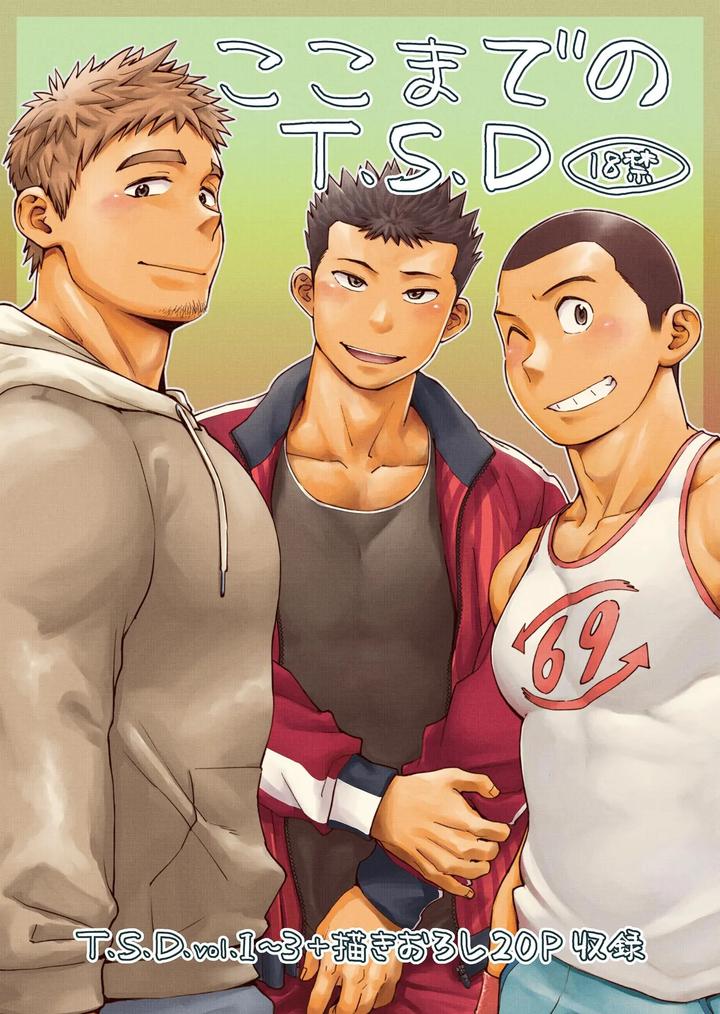 Koko made no T.S.D by Dokudenpa Jushintei (Kobucha) [Kr] page 2