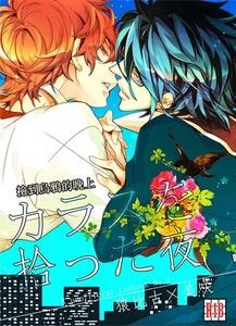 K Project Dj – The night I picked up a crow by Banyu (Aoi Levin) [Chn]