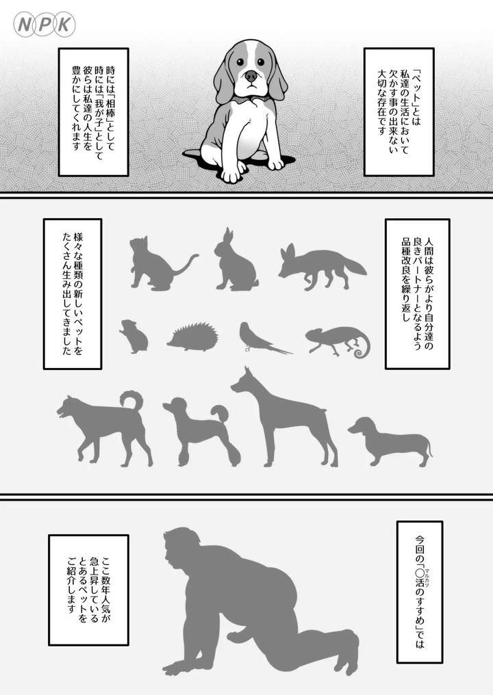 Recommendations for living as an older man by Warau Biteikotsu (Dobunezumi) [JP] page 2