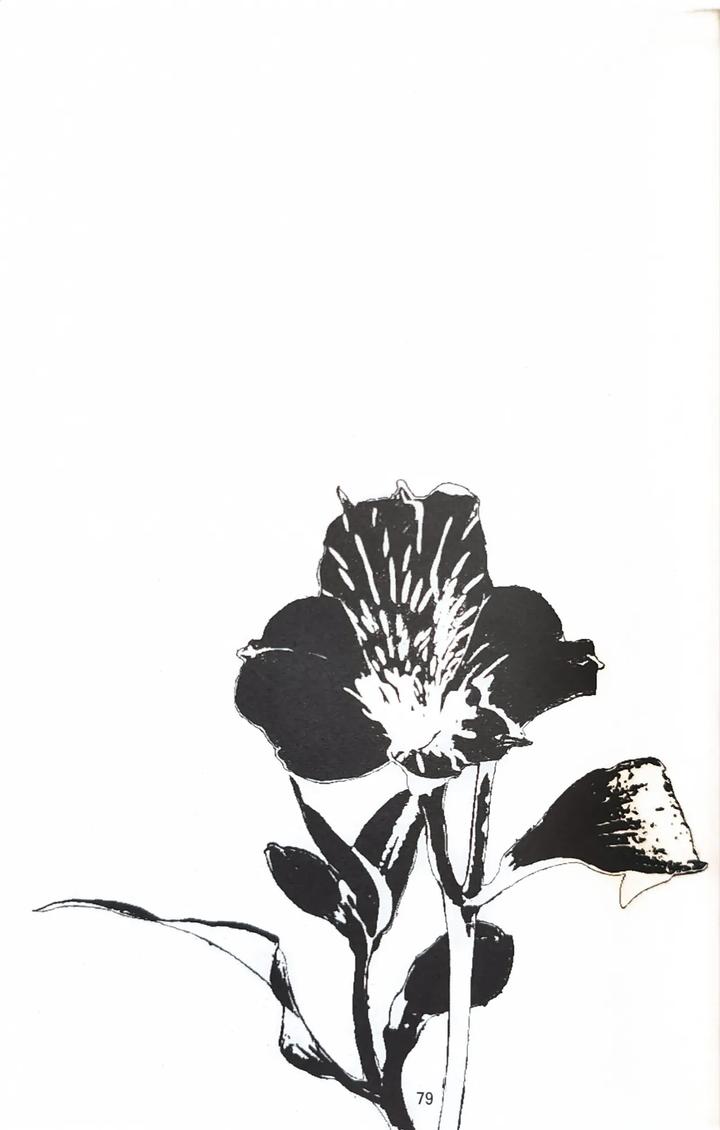 Devil May Cry Dj – First Contact by Amethyst(Yagami Ayame) [Chn] page 34