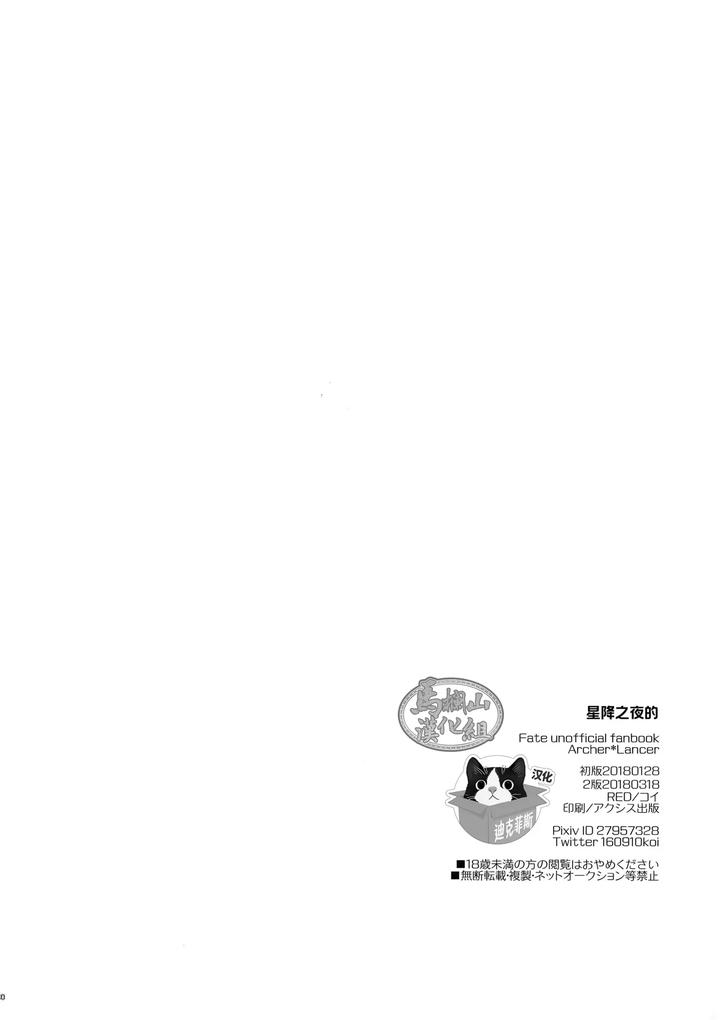 Fate Grand Order Dj – Hoshi Furu Yoru No by Reddo ( Koi ) [Chn] page 29