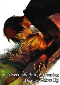 Durarara Dj – 0.5 Seconds Before Sleeping Beauty Wakes Up by Spider-Cage Ashiya [Eng]