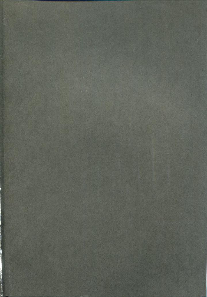 Fate/Zero Dj – Horoyoi Master no Ayashikata by trigger.m (Emu Emuo) [JP] page 4