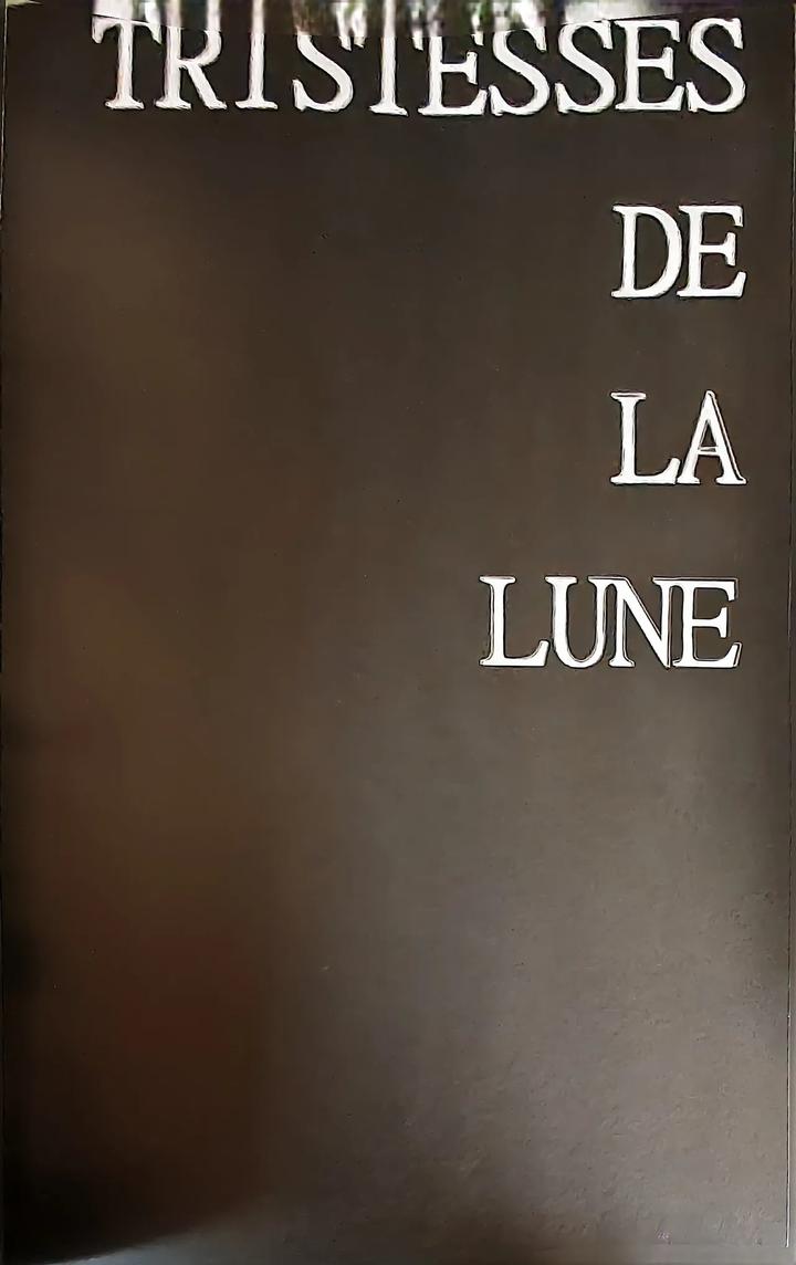 Devil May Cry Dj – TRISTESSES DE LA LUNE by Sera(anna) [Chn] page 3