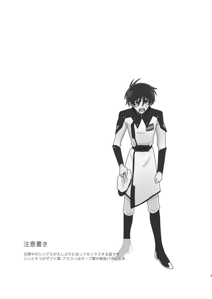 Gundam Seed Destiny Dj – Of course I want to! by Ibushihin (namaGX) [JP] page 2