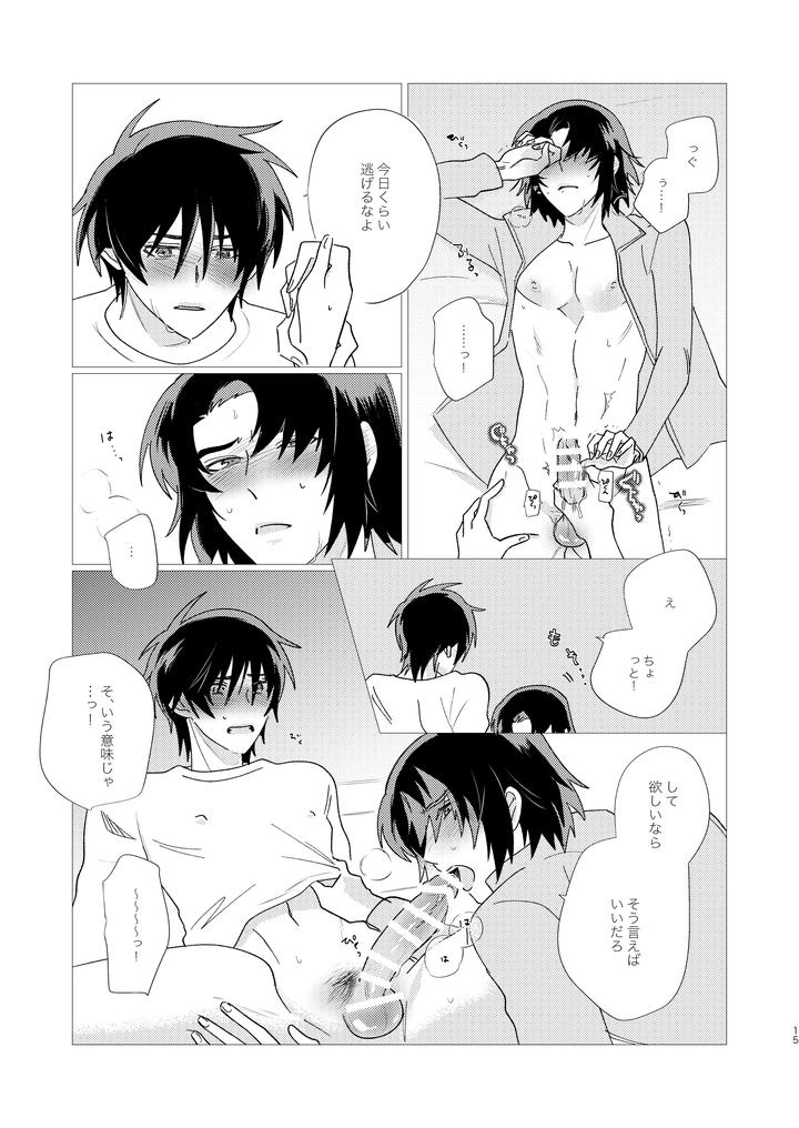 Gundam Seed Destiny Dj – Of course I want to! by Ibushihin (namaGX) [JP] page 14