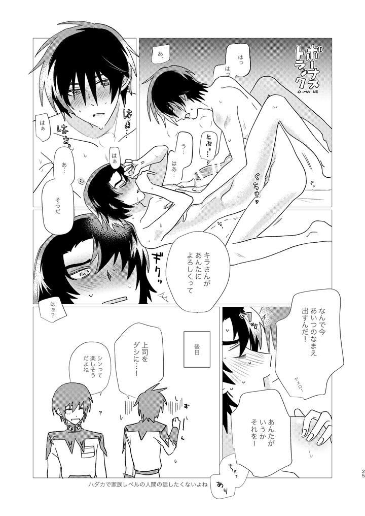 Gundam Seed Destiny Dj – Of course I want to! by Ibushihin (namaGX) [JP] page 24