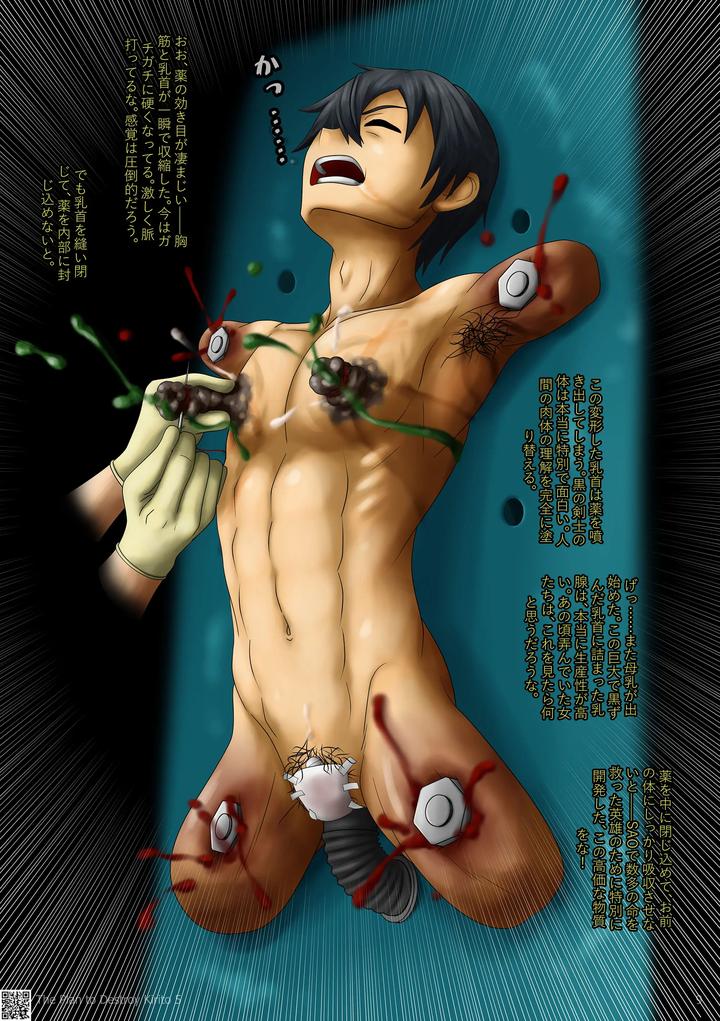 Sword Art Online Dj – Kirito Destruction Plan 05 [JP] page 10