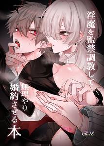 A book about imprisoning and training a succubus and forcing into an engagement. by Kanshouyaku (miska) [JP]