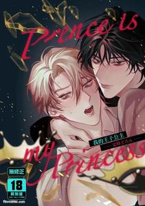 Prince Is My Princess by Kintai Yuuryouji (Teiji) [Chn]