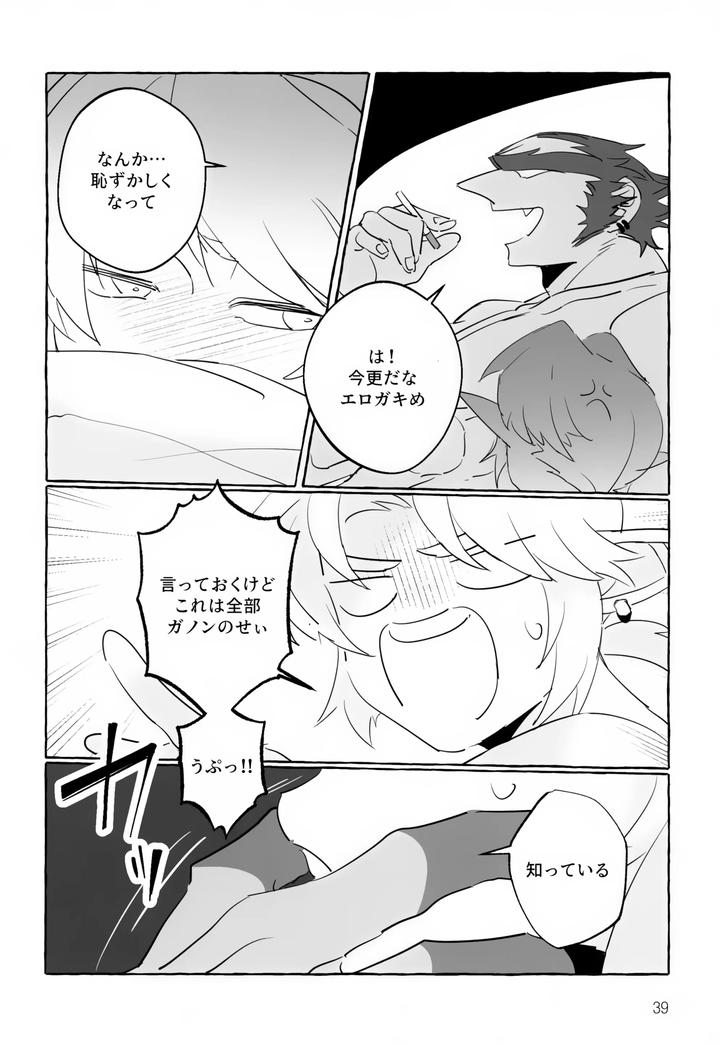 The Legend Of Zelda Dj – It has to be you! by Butagi no Densetsu (RANI) [JP] page 39