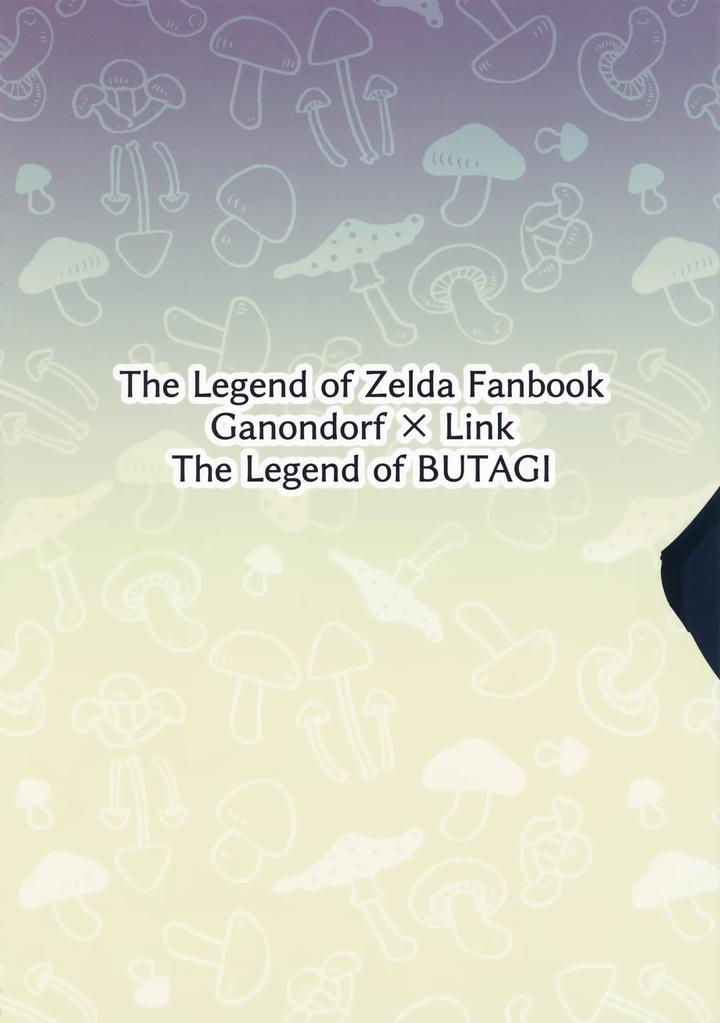 The Legend Of Zelda Dj – It has to be you! by Butagi no Densetsu (RANI) [JP] page 45