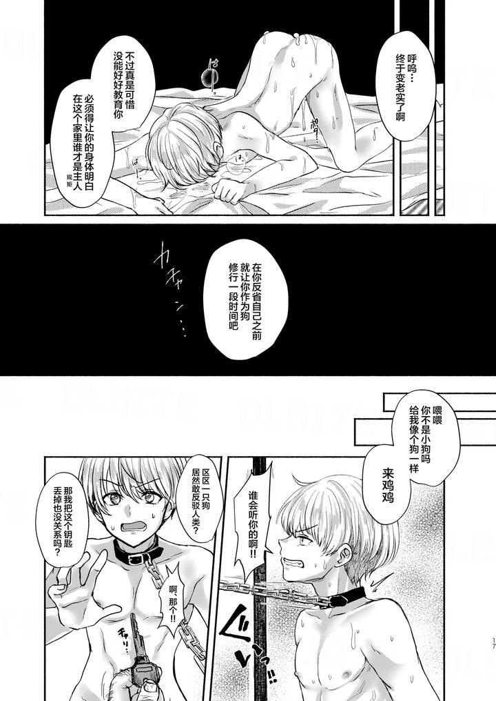 Pet Boy – The Fallen Heir by Adolescent*Boy (Sazanami Suzune) [Chn] page 17